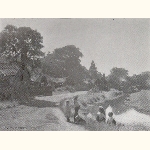 picture thumbnail