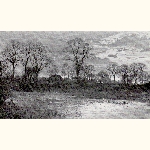 picture thumbnail