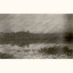 picture thumbnail