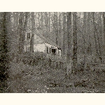 picture thumbnail