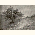 picture thumbnail
