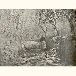 picture thumbnail