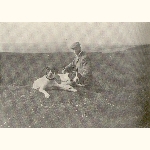 picture thumbnail