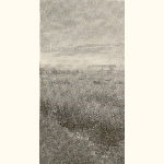 picture thumbnail