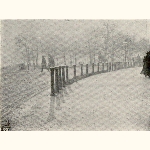 picture thumbnail