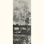 picture thumbnail