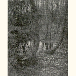 picture thumbnail