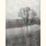 picture thumbnail