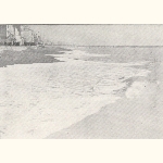 picture thumbnail