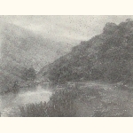 picture thumbnail