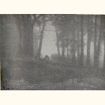 picture thumbnail