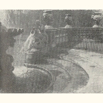 picture thumbnail
