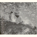 picture thumbnail