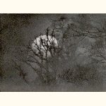picture thumbnail