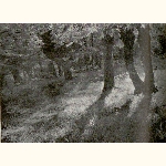 picture thumbnail