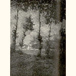 picture thumbnail