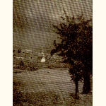 picture thumbnail