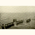 picture thumbnail
