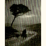 picture thumbnail