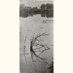picture thumbnail