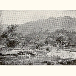 picture thumbnail