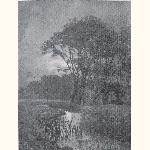 picture thumbnail