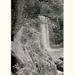 picture thumbnail