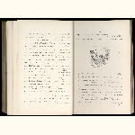 E01A019
