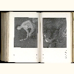 E06S005