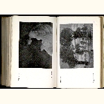 E06S019