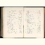 page thumbnail