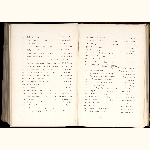 page thumbnail