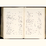 page thumbnail