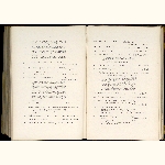 page thumbnail
