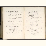 page thumbnail