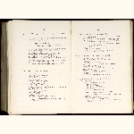 page thumbnail