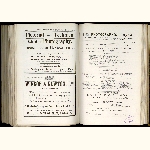 page thumbnail