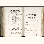 page thumbnail