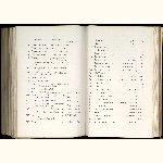 page thumbnail