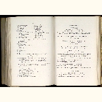 page thumbnail