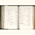 page thumbnail