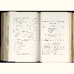 page thumbnail