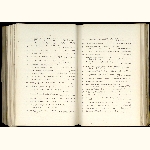 page thumbnail