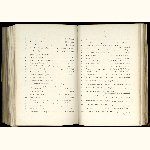 page thumbnail