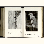 E11S019