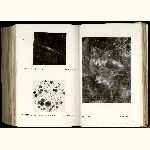 E11S021