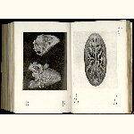 E11S023