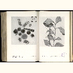 E13S011