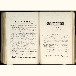 page thumbnail