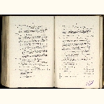 page thumbnail
